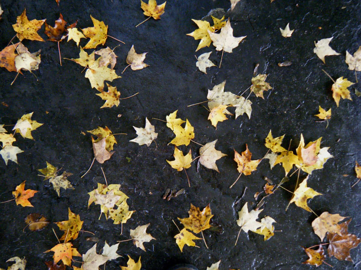 Autumn