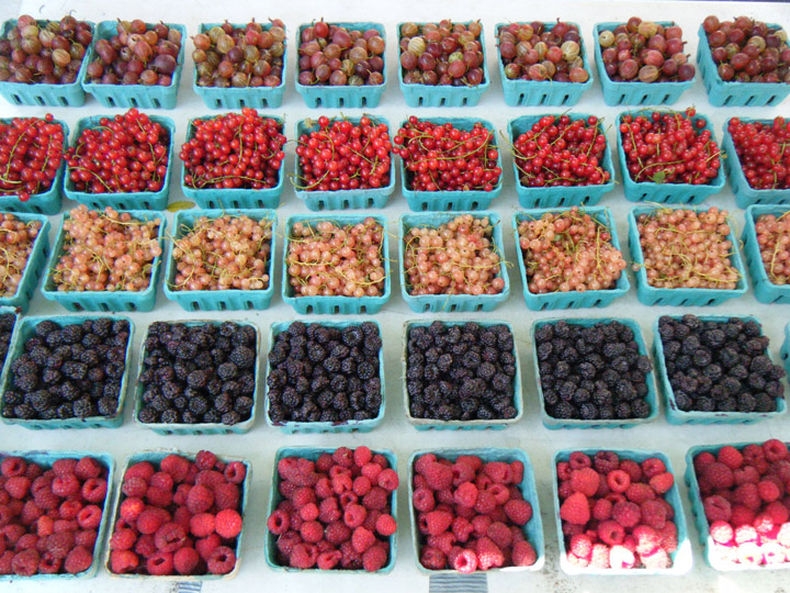 Berries Uptown