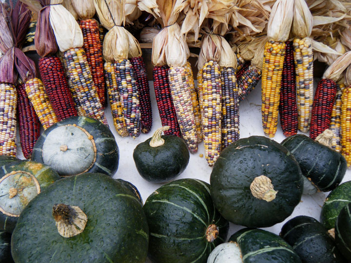 Kingston Farmers Market