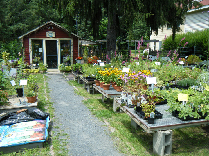 Sugar Loaf Herb Shop