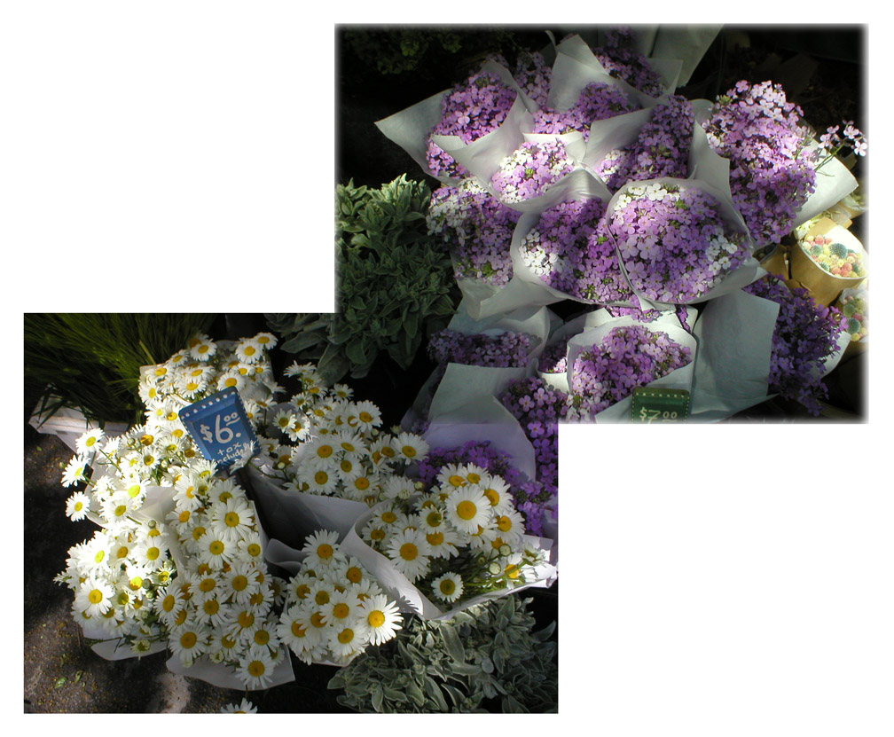 Uptown Farmers Market Flowers